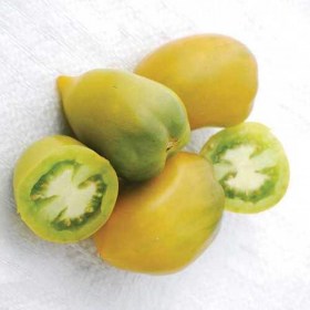 Chile Verde paradicsom - Paradicsom különlegességek az Egzotikus Növények Stúdiója kínálatából